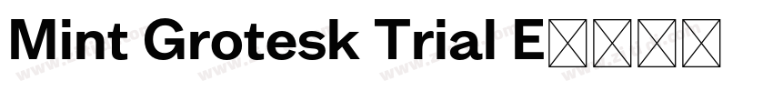 Mint Grotesk Trial E字体转换